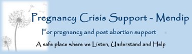 Logo for Pregnancy Crisis Support – Mendip